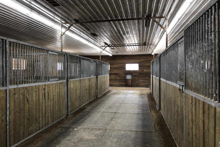 Horse Stalls